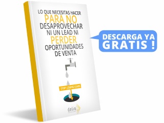 Ebook gratis: Lo que necesitas hacer para no desaprovechar ni un lead